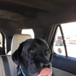 Meet your Posher, Betty-jo